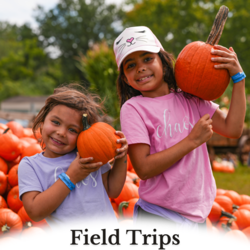 Fall Field Trips at Blooms & Berries Farm